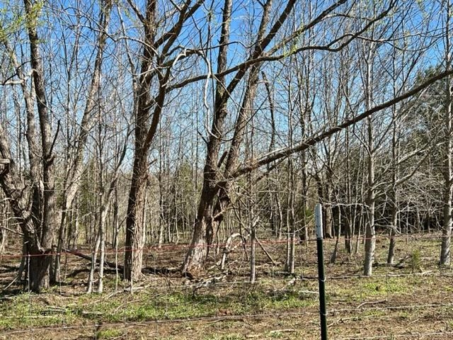 220 Kennedy Road Morris Chapel, TN 38361 - Photo 15 of 18 Gallery Image 15