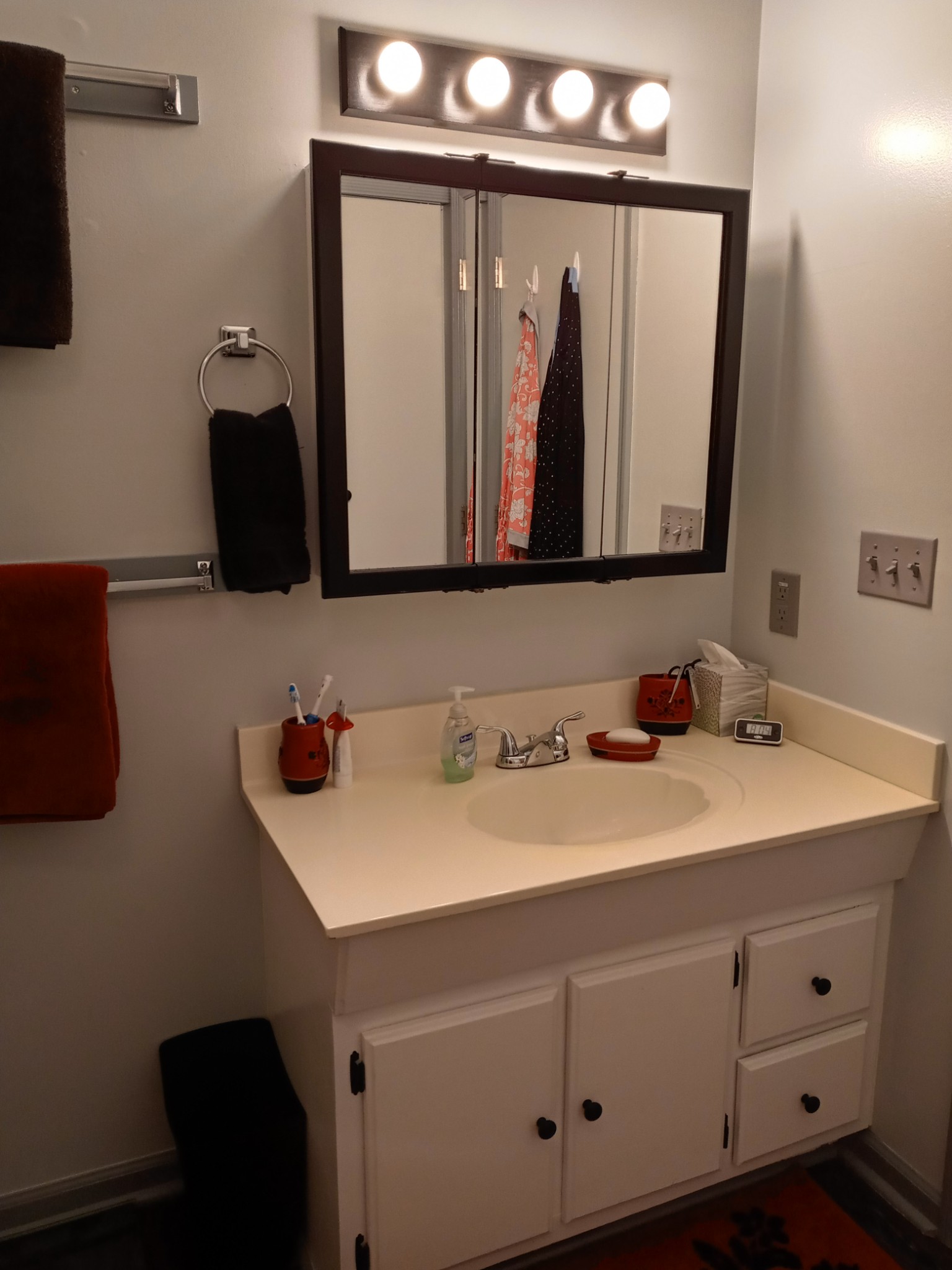 2628 Gideon Road Greenbrier, TN 37073 - Photo 21 of 40 a bathroom with a sink vanity and a mirror
