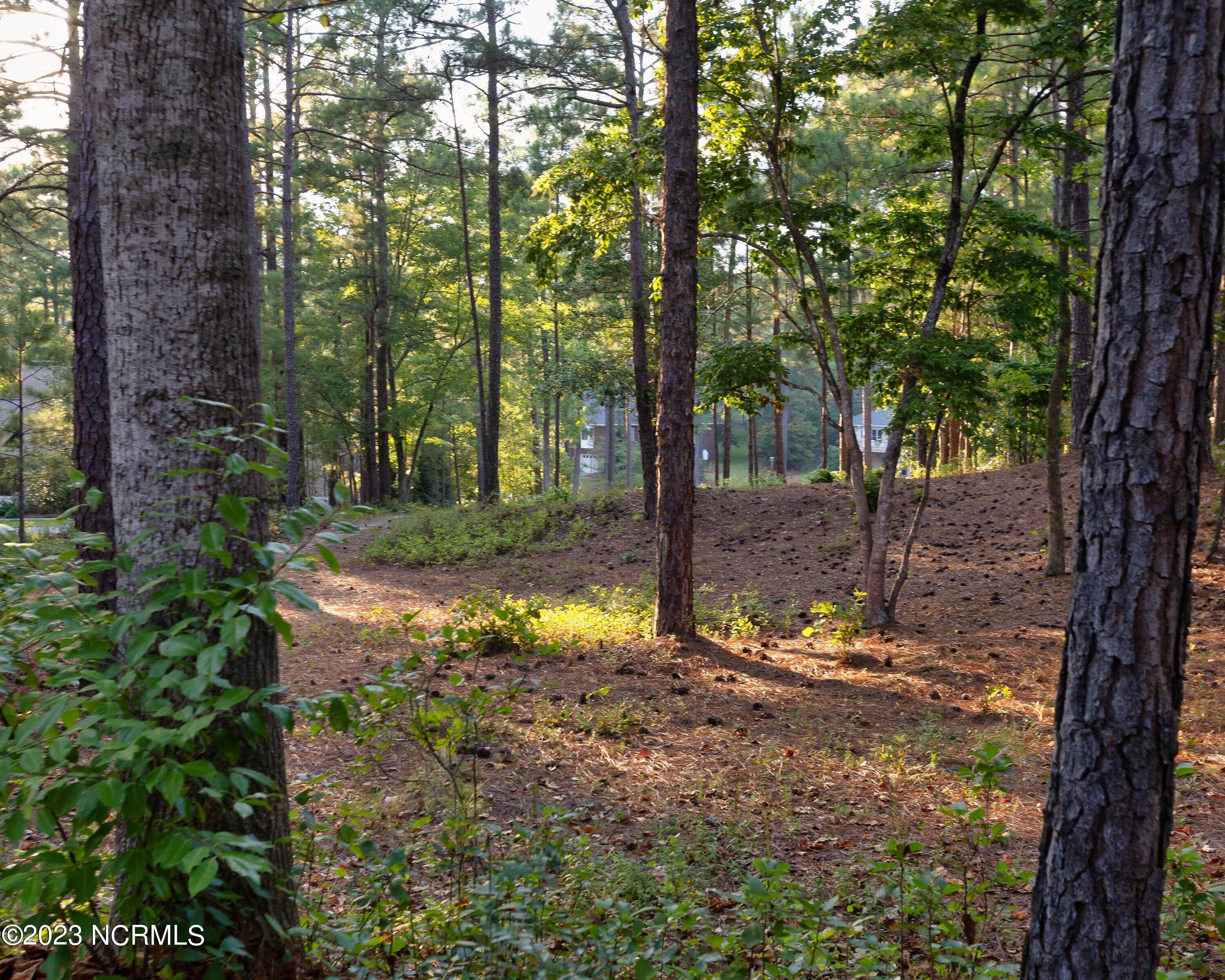 153 Owens Circle West End, NC 27376 - Photo 7 of 15 4