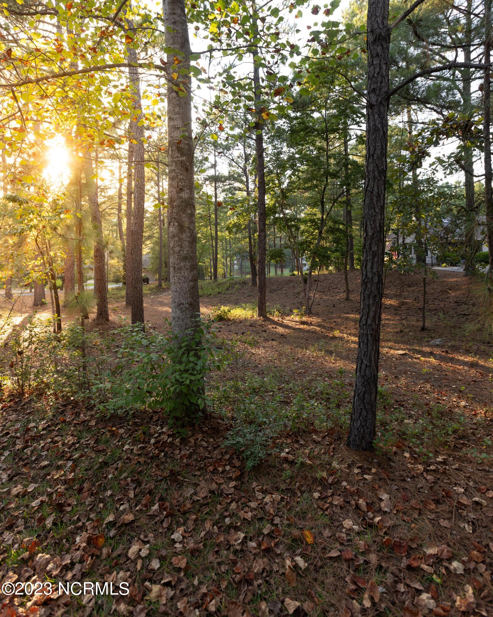 153 Owens Circle West End, NC 27376 - Photo 9 of 15 5