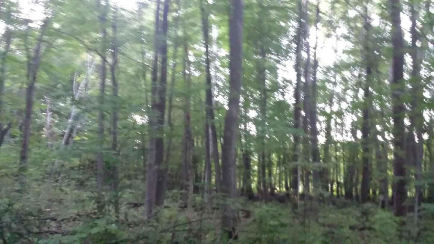0 Blue Lake Road, Unit 9 Holton, MI 49425 - Photo 1 of 1 20140923_192550
