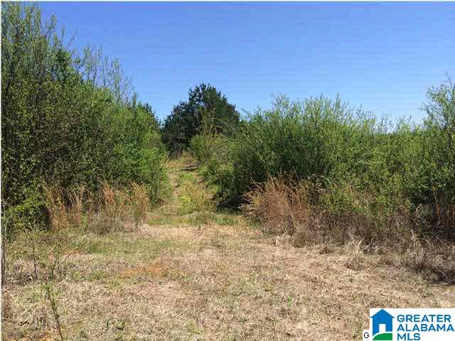 3980 Tanner Road, Unit 10 ACRES Dora, AL 35062 - Photo 5 of 8