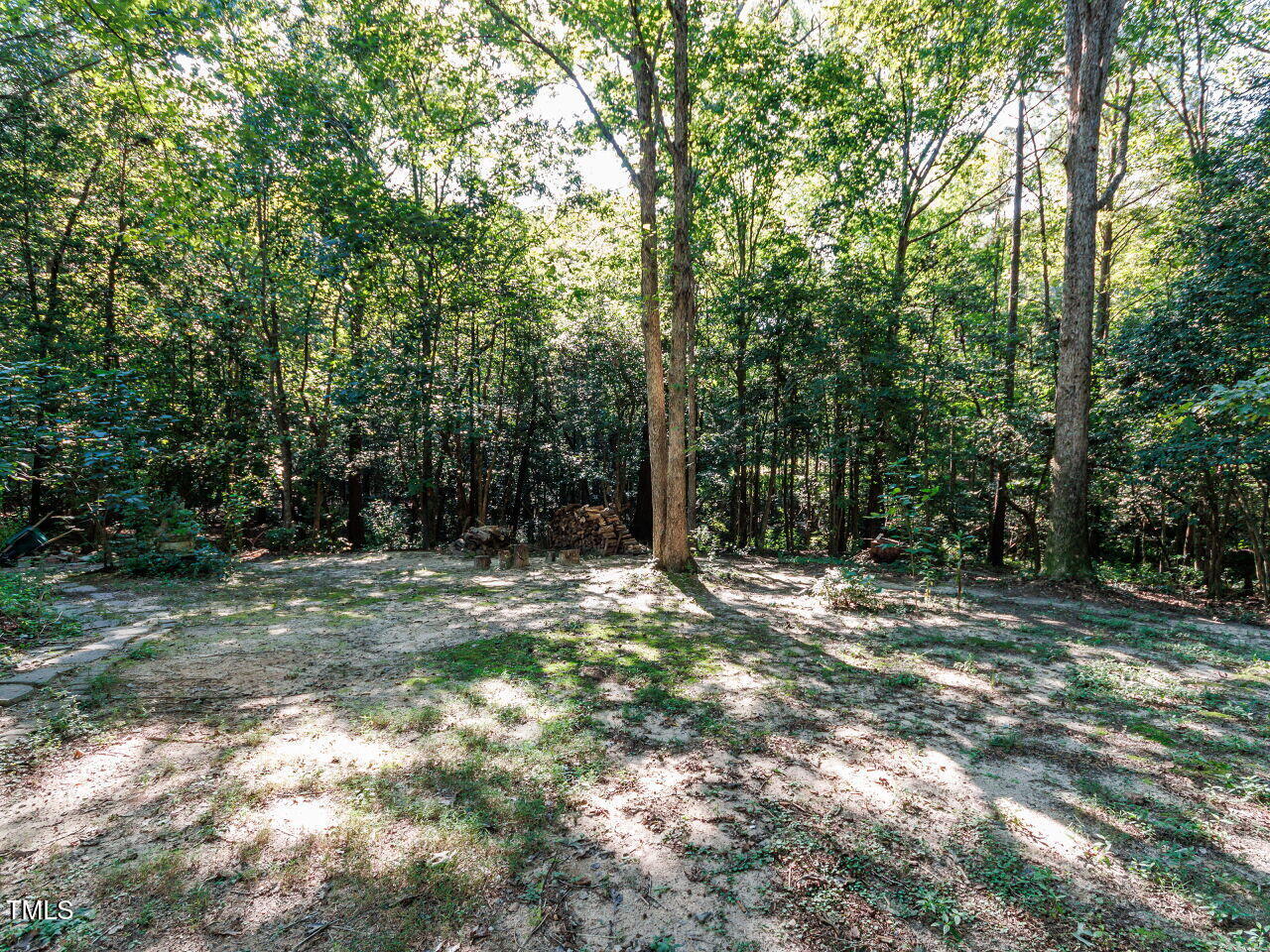 216 Deep Pool Court Benson, NC 27504 - Photo 30 of 37 a view of a forest with trees in the background