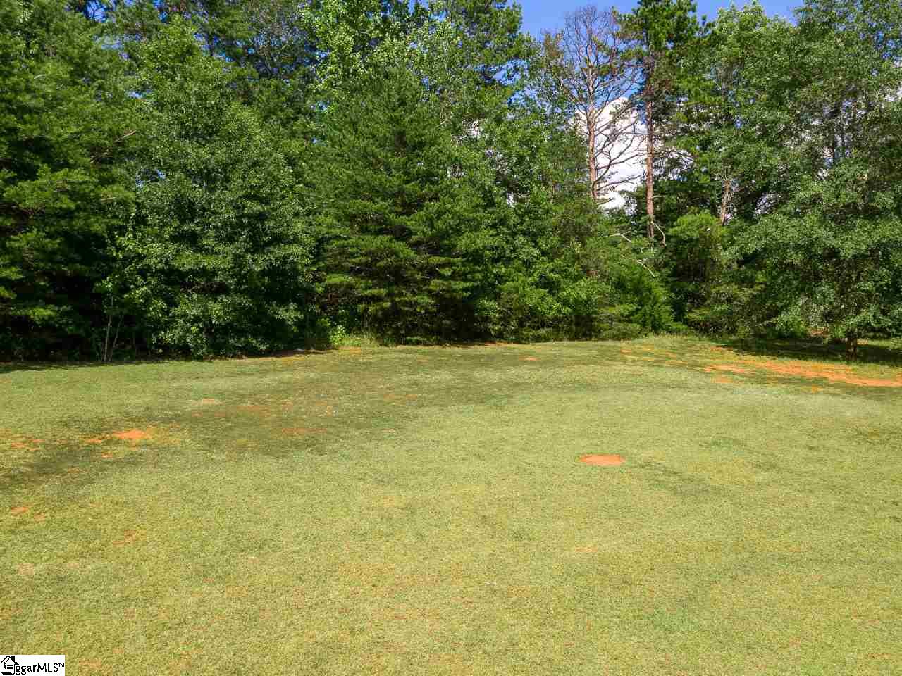 326 Cane Pole Walk Inman, SC 29349 - Photo 28 of 32