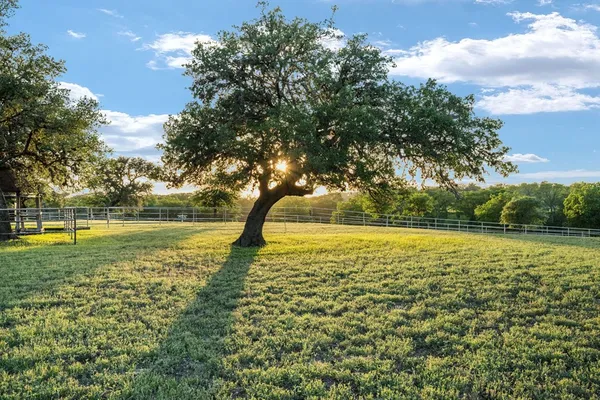 a view of a big yard with lots of green space
