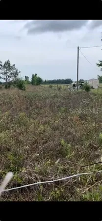 a view of a field with an ocean