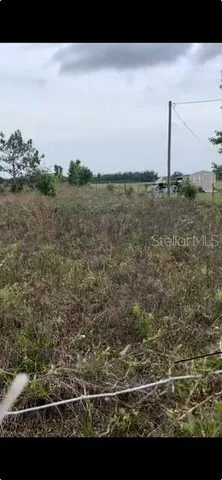 a view of a field with an ocean