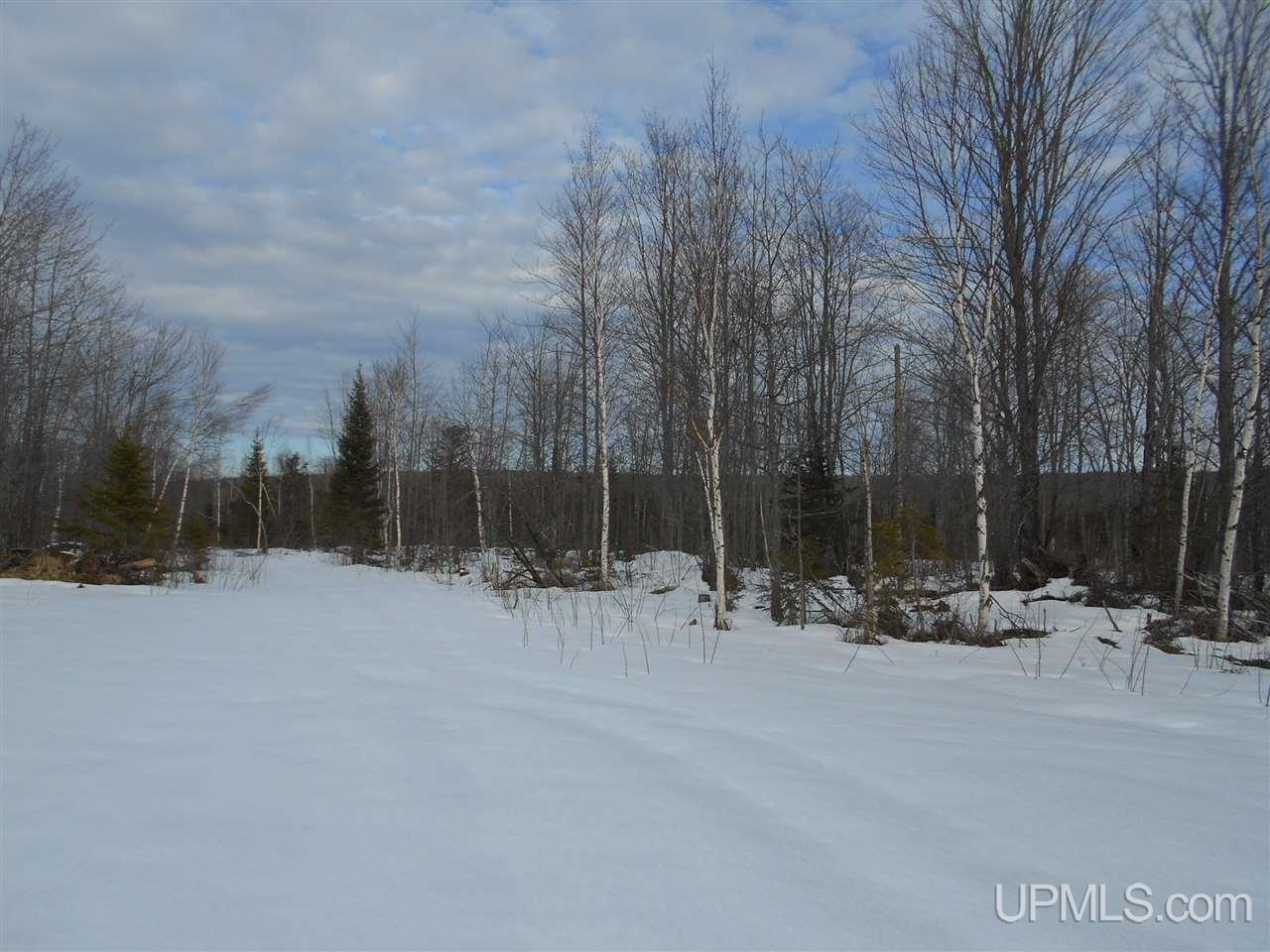Tbd Tapiola Road Chassell, MI 49916 - Photo 1 of 14