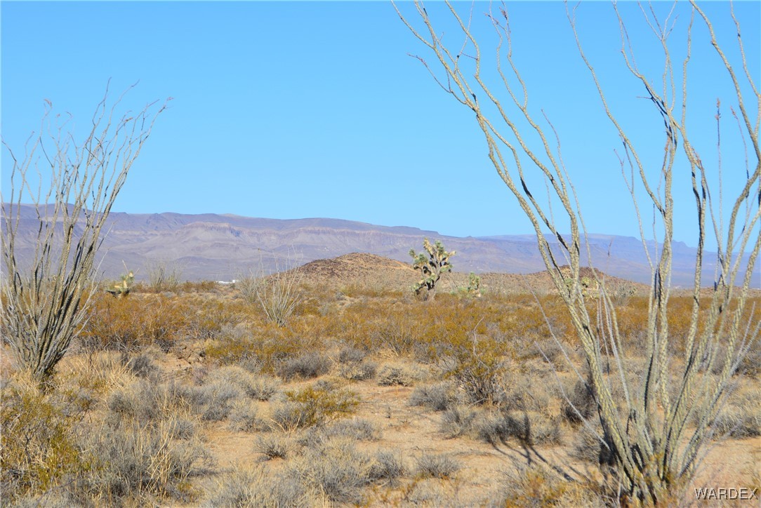 C5 South Duquesne Road Yucca, AZ 86438 - Photo 63 of 76 View