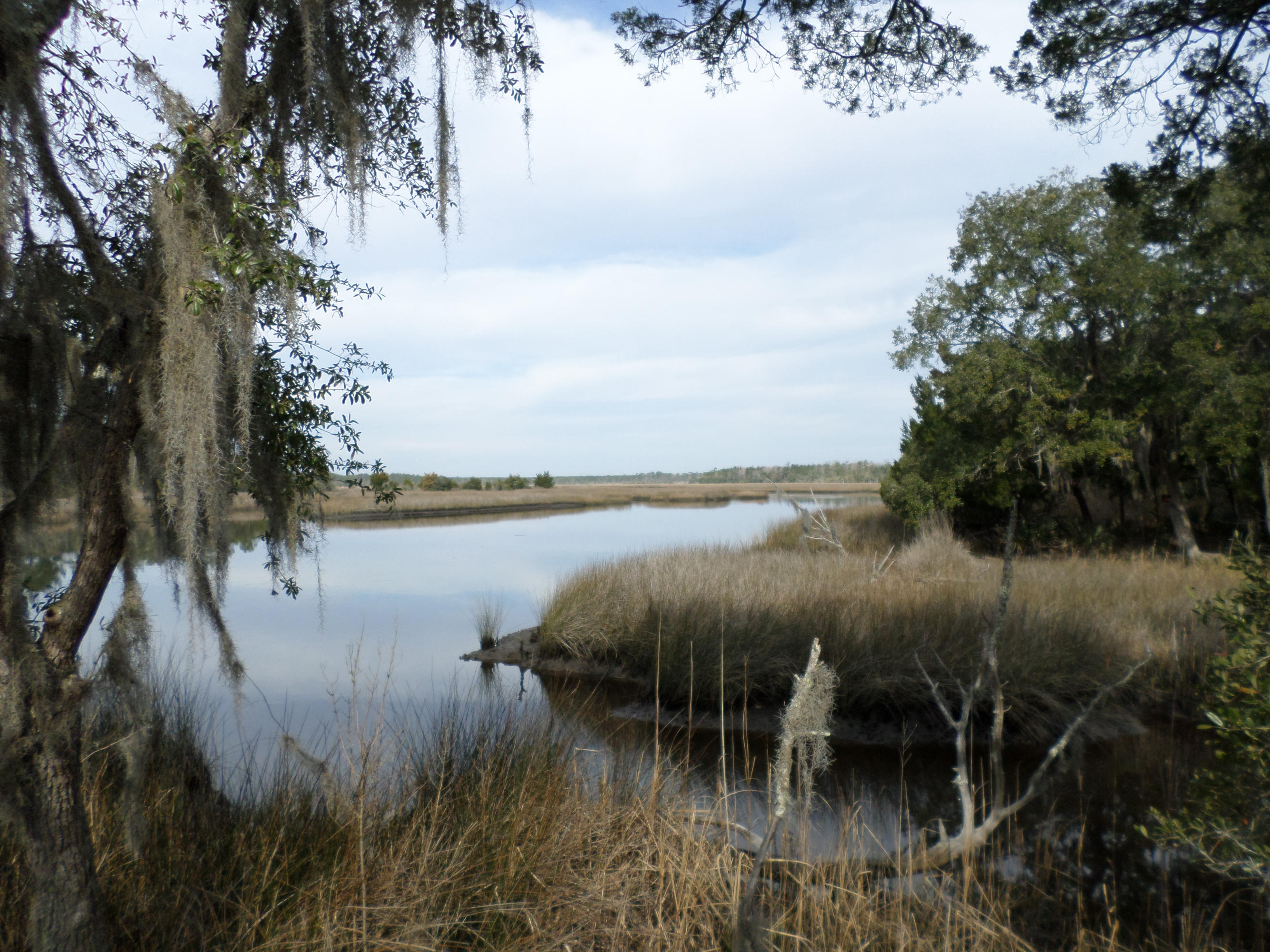 5 Bulow Point Road Johns Island, SC 29455 - Photo 3 of 15 SAM_0249