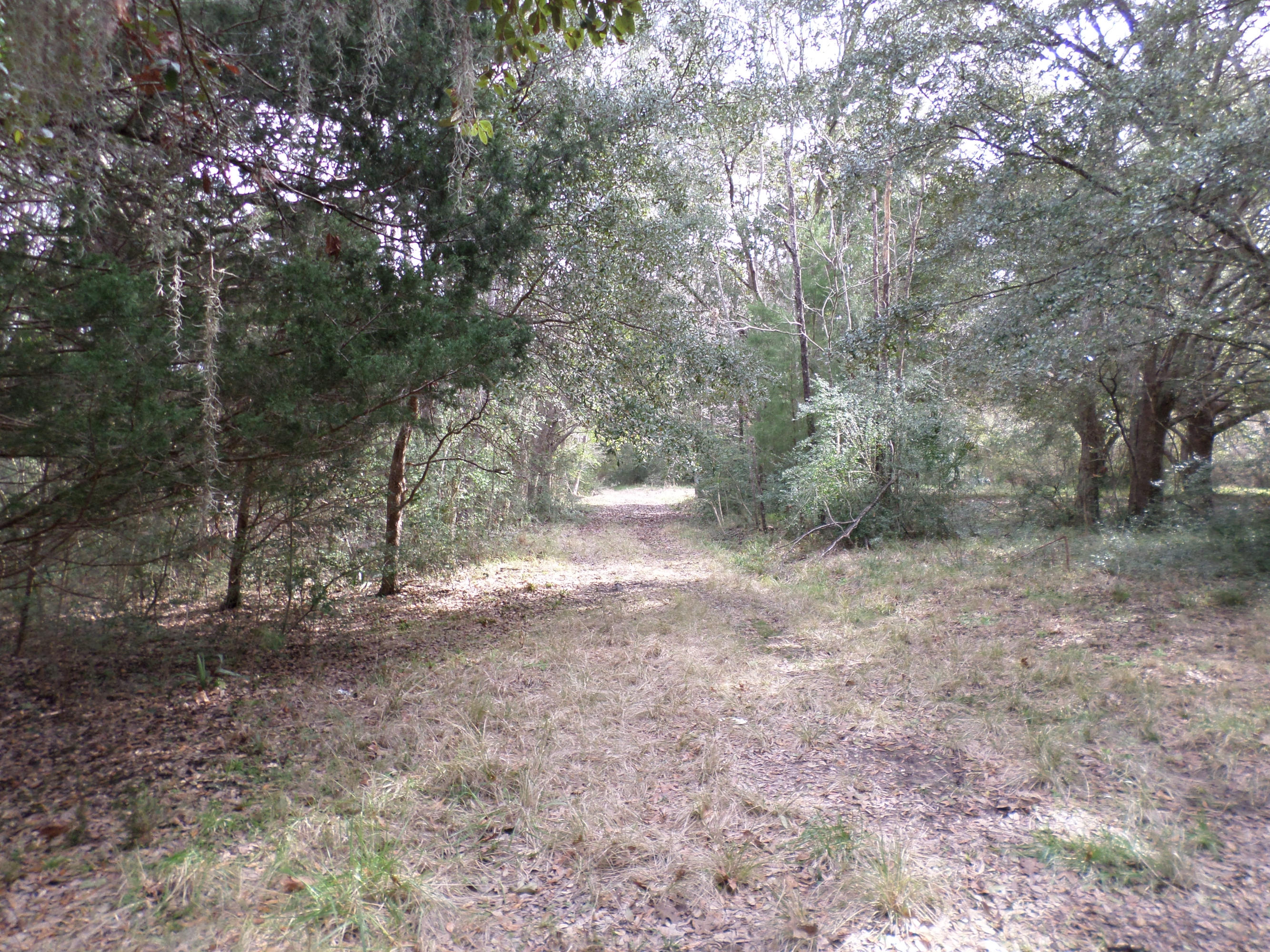 5 Bulow Point Road Johns Island, SC 29455 - Photo 8 of 15 SAM_0254