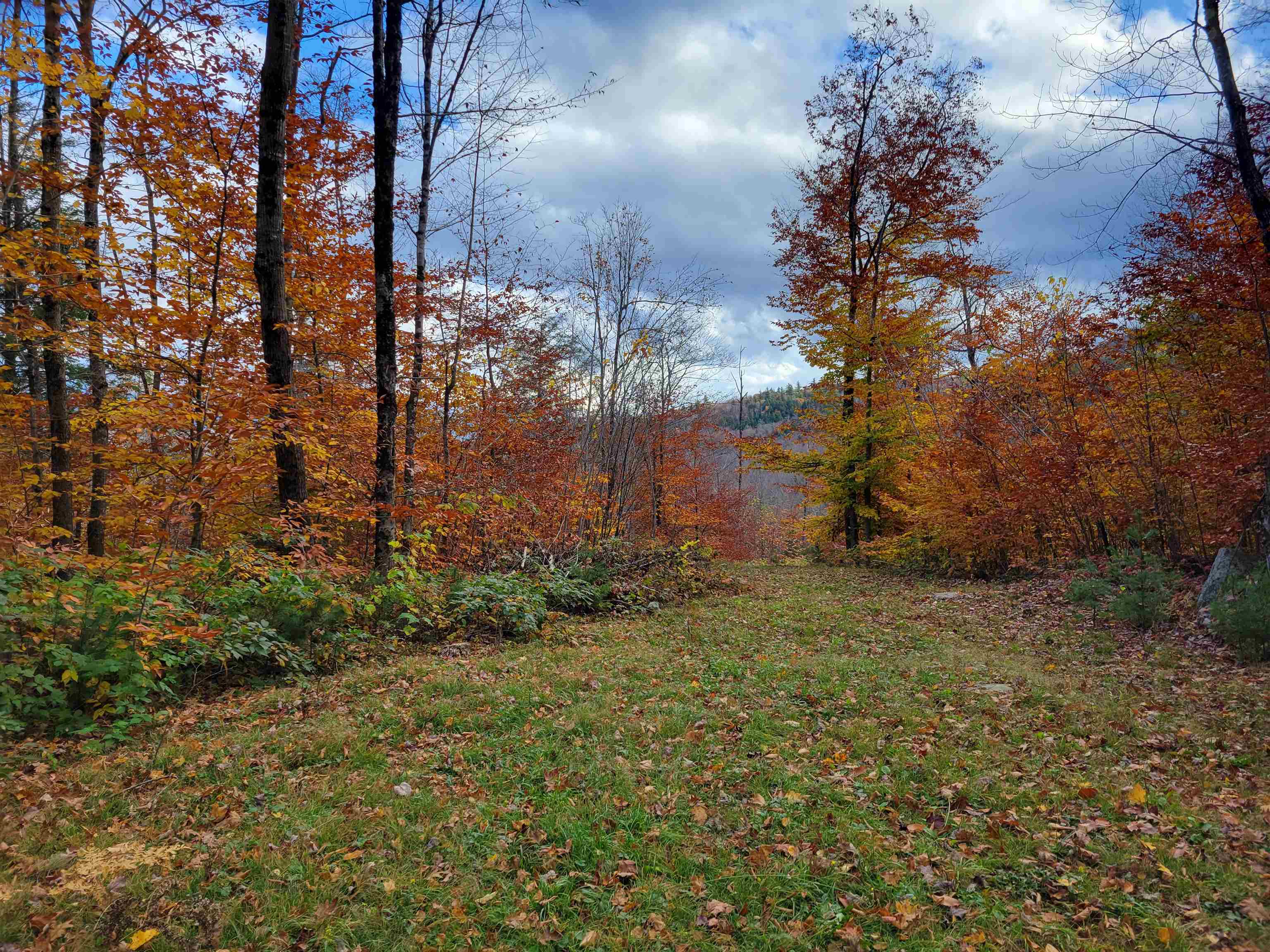 Jericho Road Glen, NH 03838 - Photo 1 of 3 Gallery Image 1