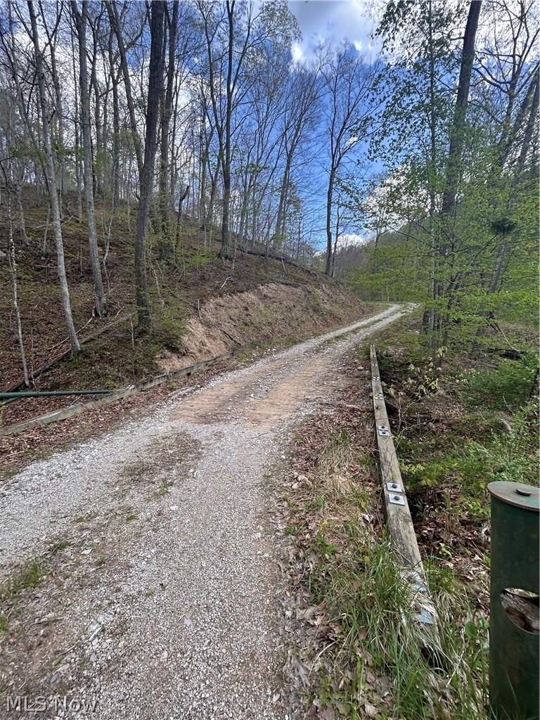 123 Foxtrot Road Looneyville, WV 25259 - Photo 43 of 50