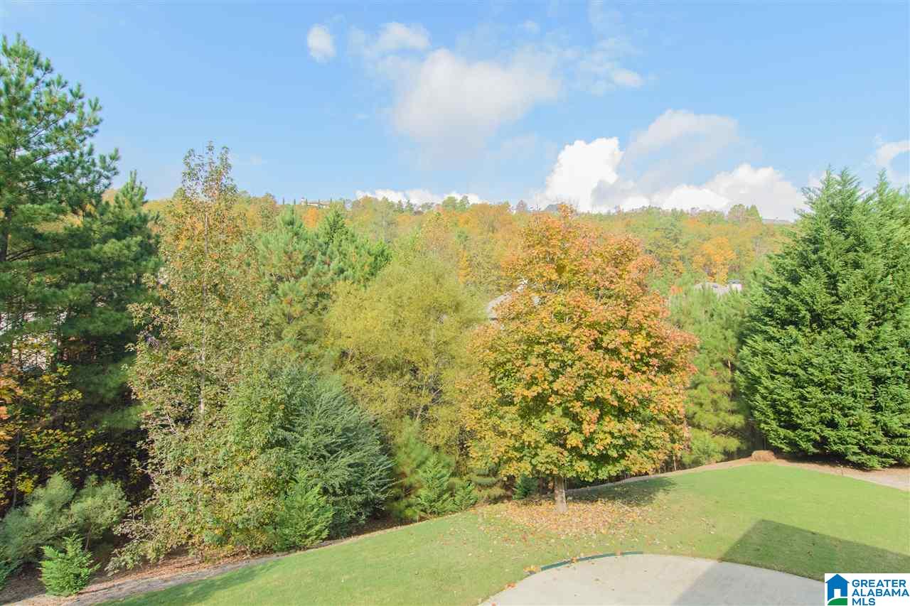 414 North Lake Road Birmingham, AL 35242 - Photo 41 of 50