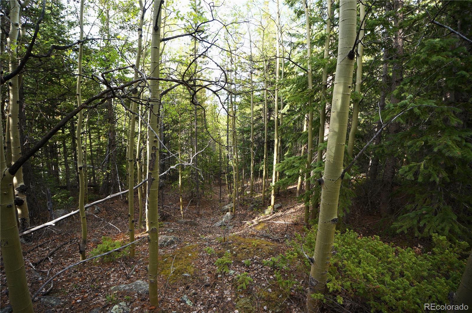 0 Trail Creek Road Idaho Springs, CO 80452 - Photo 11 of 16