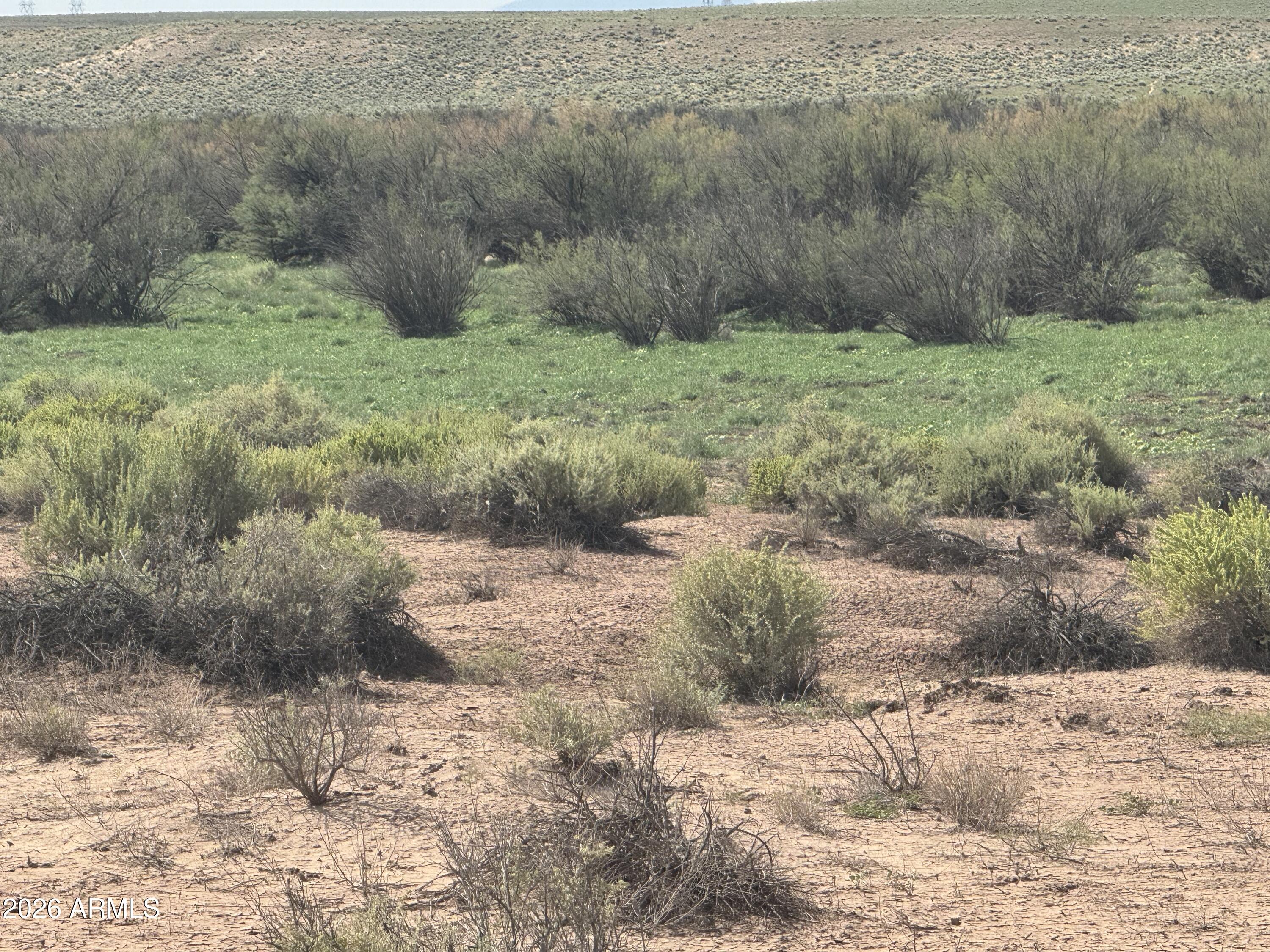 Lot 445 Carrizo Ranch, Unit 445 St. Johns, AZ 85936 - Photo 1 of 15 IMG_2046