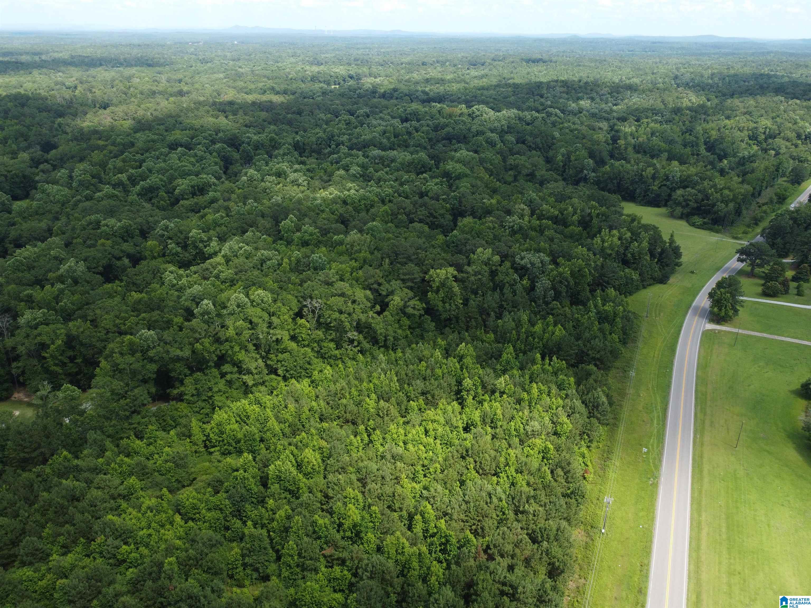 0 Highway 47, Unit 2 Chelsea, AL 35043 - Photo 9 of 19