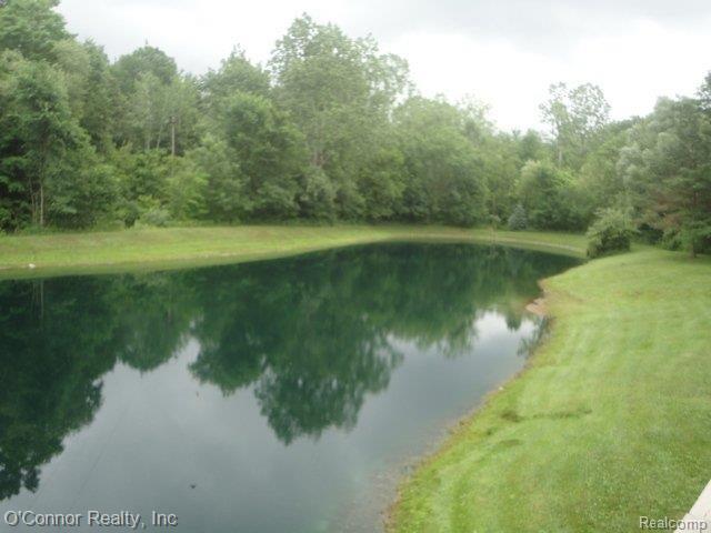 3512 Cribbins Road North Street, MI 48049 - Photo 4 of 24 pond veiw 5.JPG