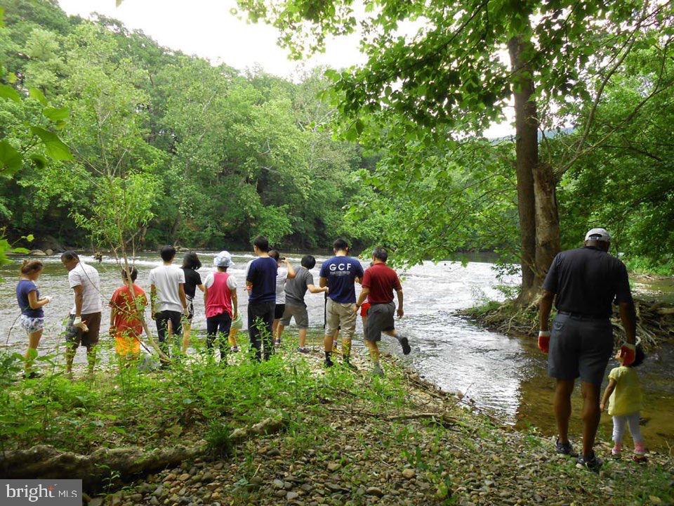 895 Fishers Road Toms Brook, VA 22660 - Photo 13 of 28