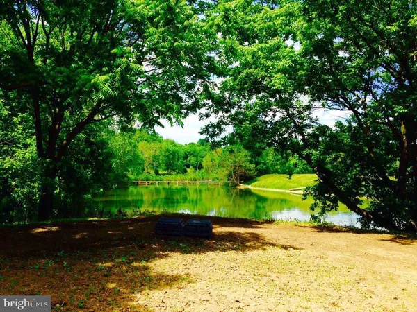 a view of a lush green space