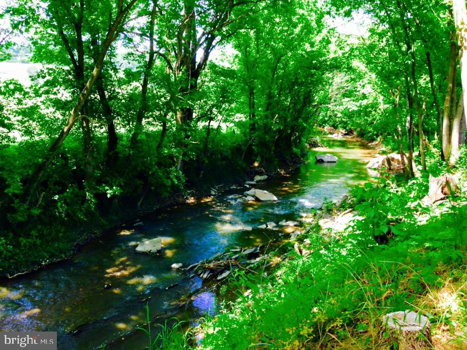 895 Fishers Road Toms Brook, VA 22660 - Photo 15 of 28