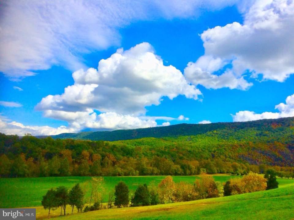 895 Fishers Road Toms Brook, VA 22660 - Photo 17 of 28