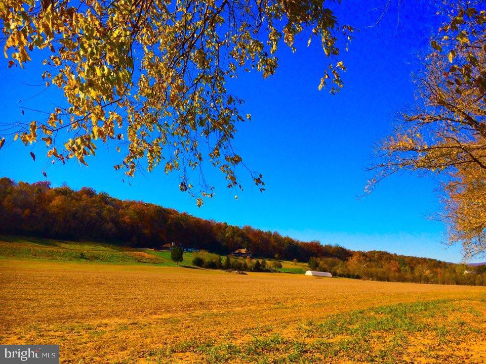 895 Fishers Road Toms Brook, VA 22660 - Photo 20 of 28