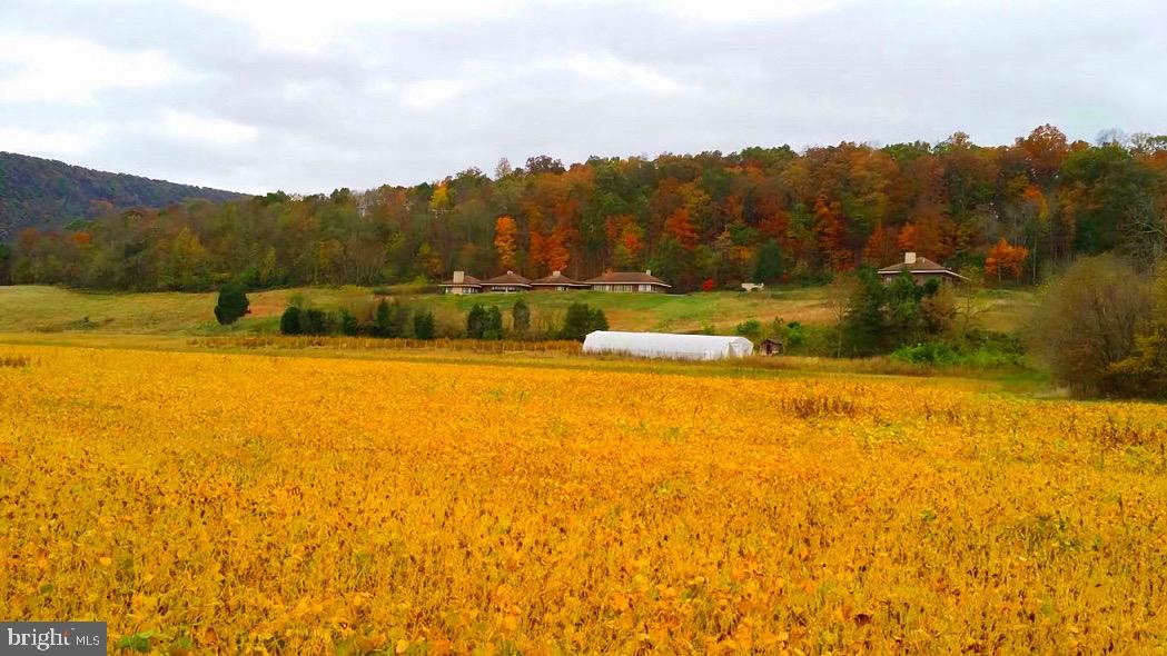 895 Fishers Road Toms Brook, VA 22660 - Photo 21 of 28