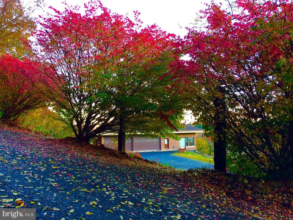 895 Fishers Road Toms Brook, VA 22660 - Photo 8 of 28