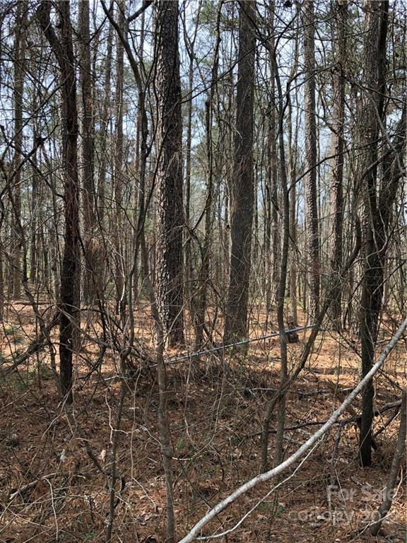 115 Archie Lane Monroe, NC 28112 - Photo 8 of 12 Gallery Image 8