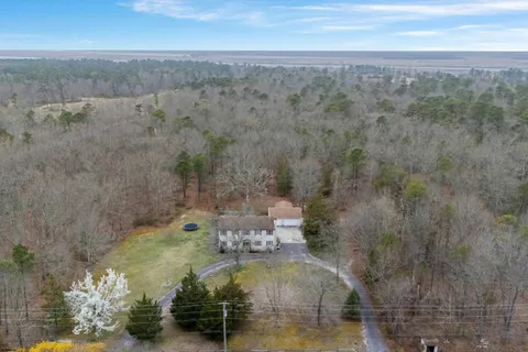 a view of a yard with a tree