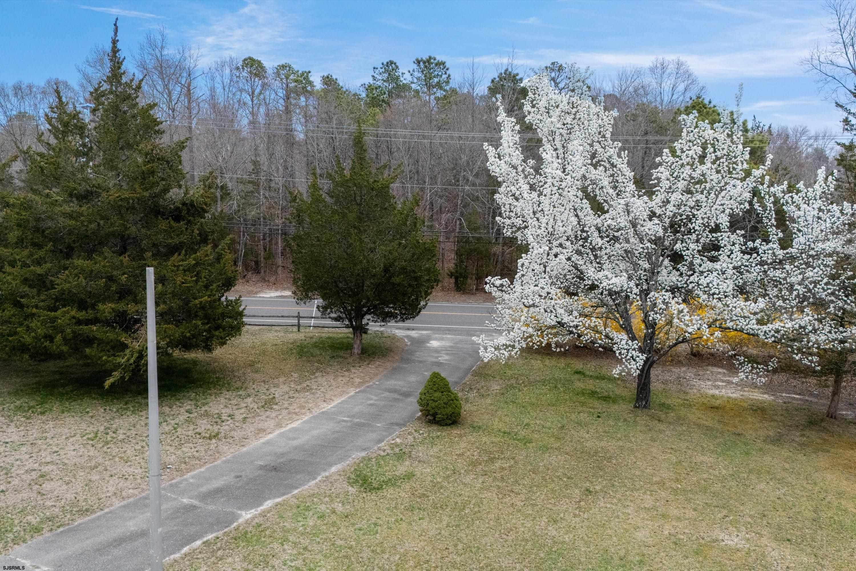 1319 Somers Point Road Egg Harbor Township, NJ 08234 - Photo 12 of 83 a view of a yard with a tree