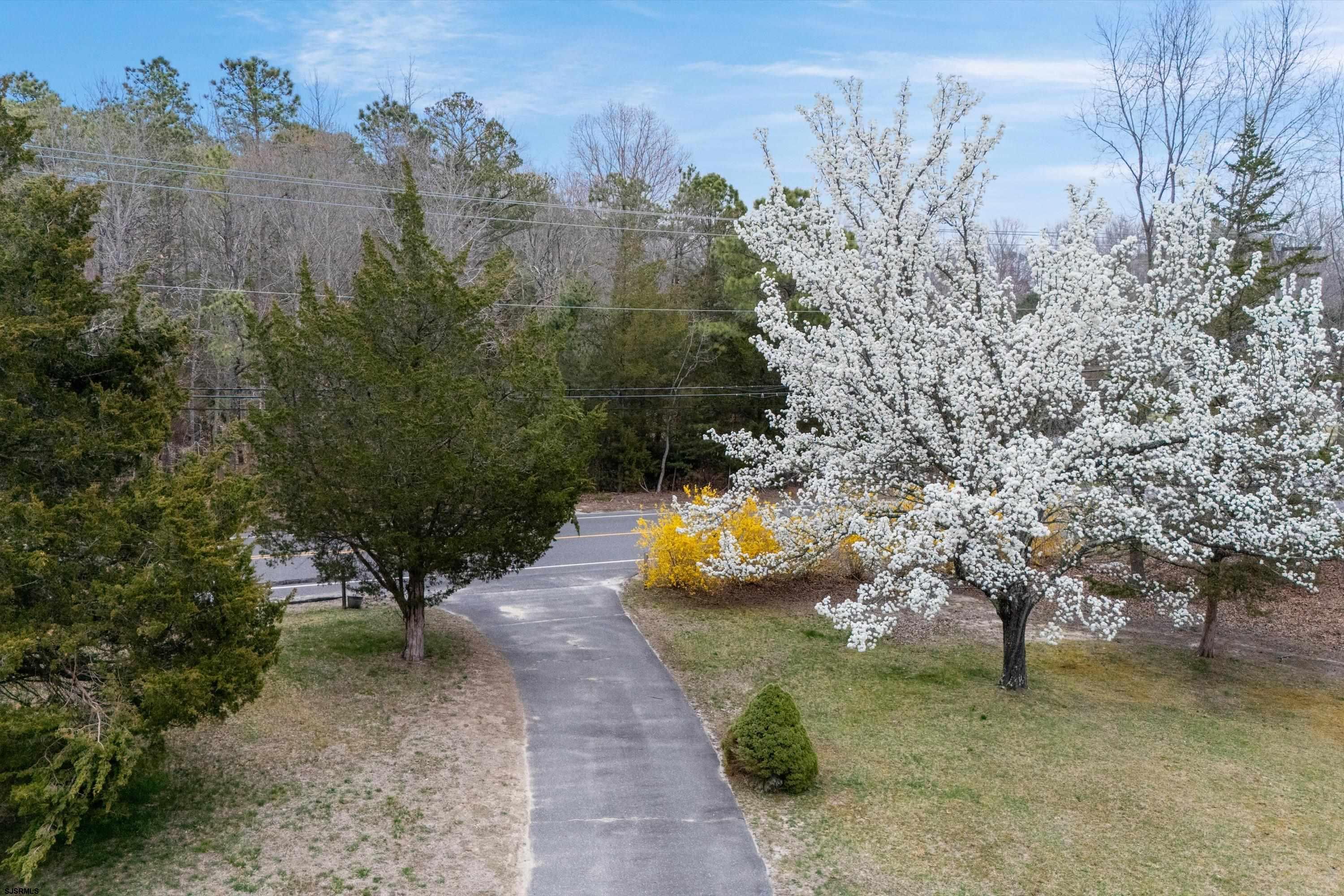 1319 Somers Point Road Egg Harbor Township, NJ 08234 - Photo 13 of 83 a view of a pathway with a yard