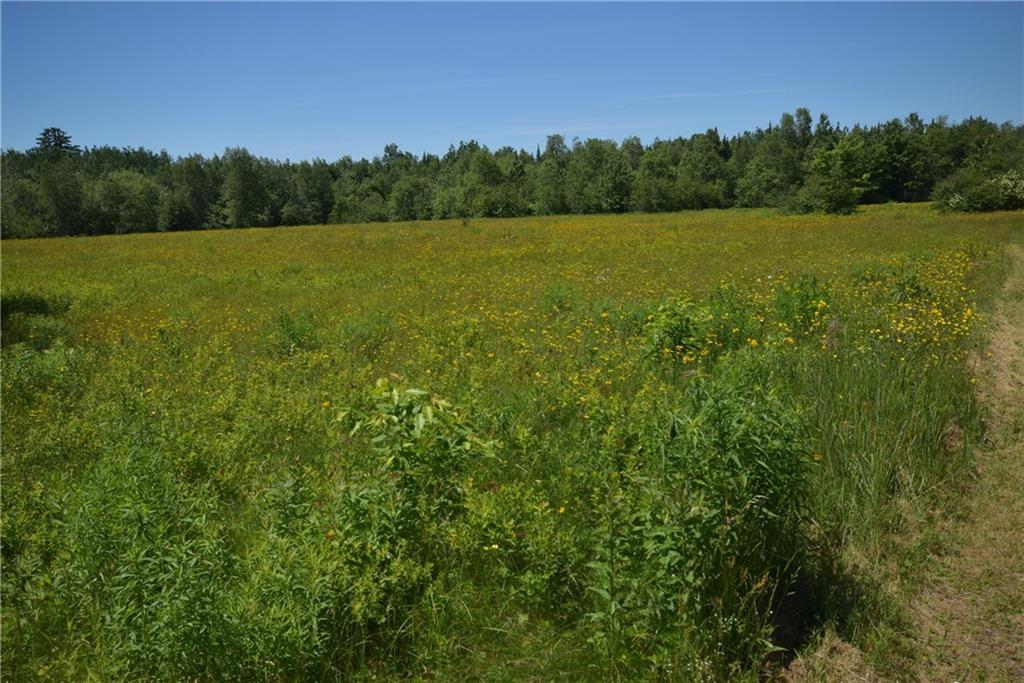 996 A Dodlin Road Enfield, ME 04493 - Photo 6 of 7 Land