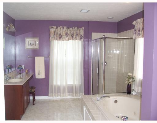562 Meade Drive McKees Rocks, PA 15136 - Photo 7 of 8 Master Bath/Spa.