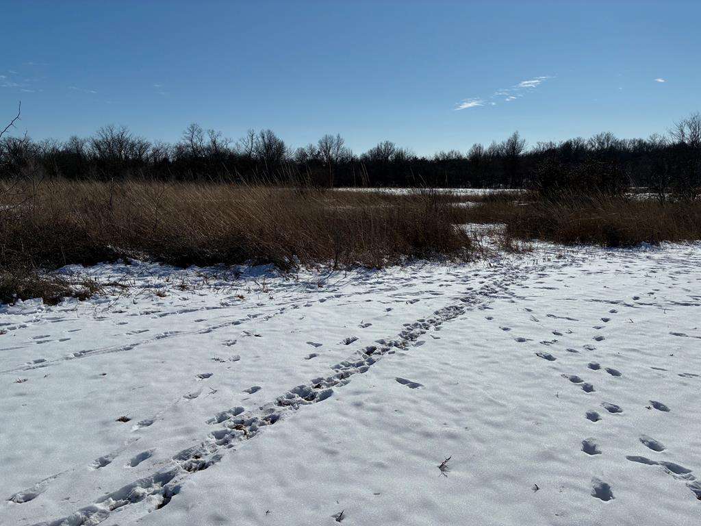 34570 Lyman Road Bucklin, MO 64631 - Photo 28 of 31 Gallery Image 28