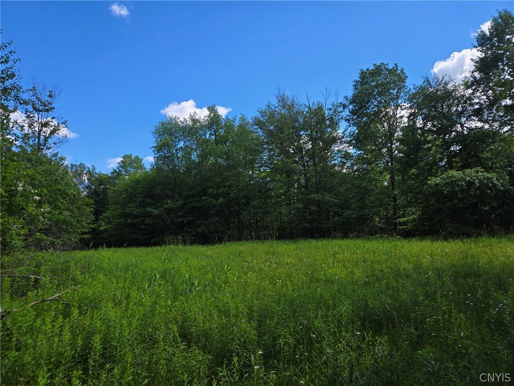 7988 Dowd Road Pike, NY 14735 - Photo 25 of 37