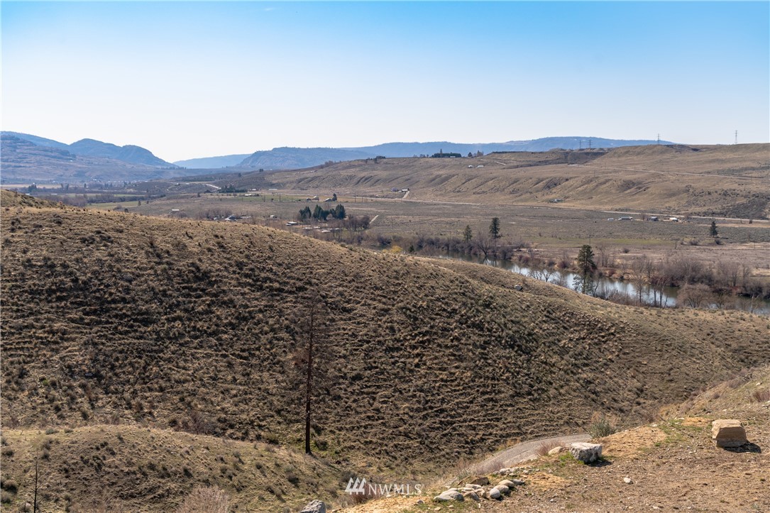 70 B Tunk Creek Road Riverside, WA 98849 - Photo 27 of 40 a view of a dry field covered with trees