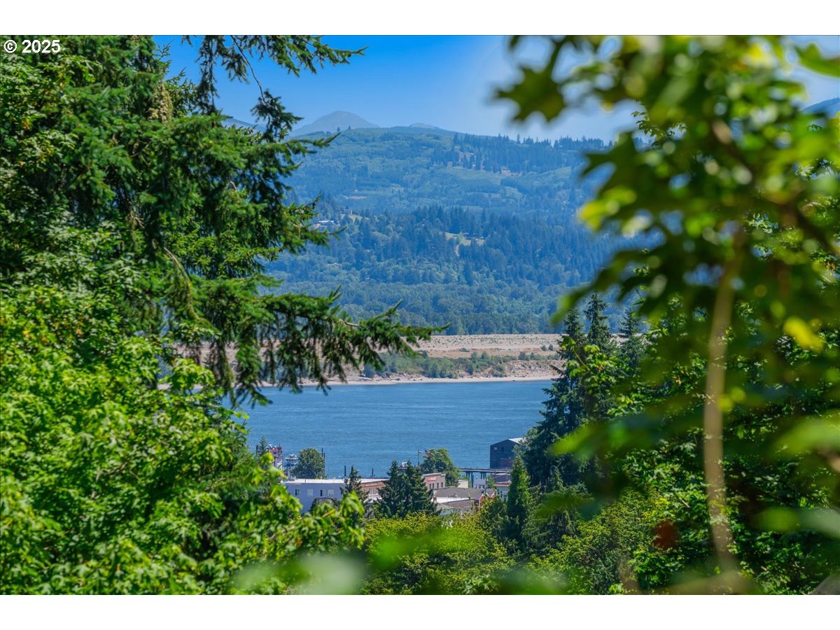 30062 Maple Drive Rainier, OR 97048 - Photo 2 of 47 a view of a yard