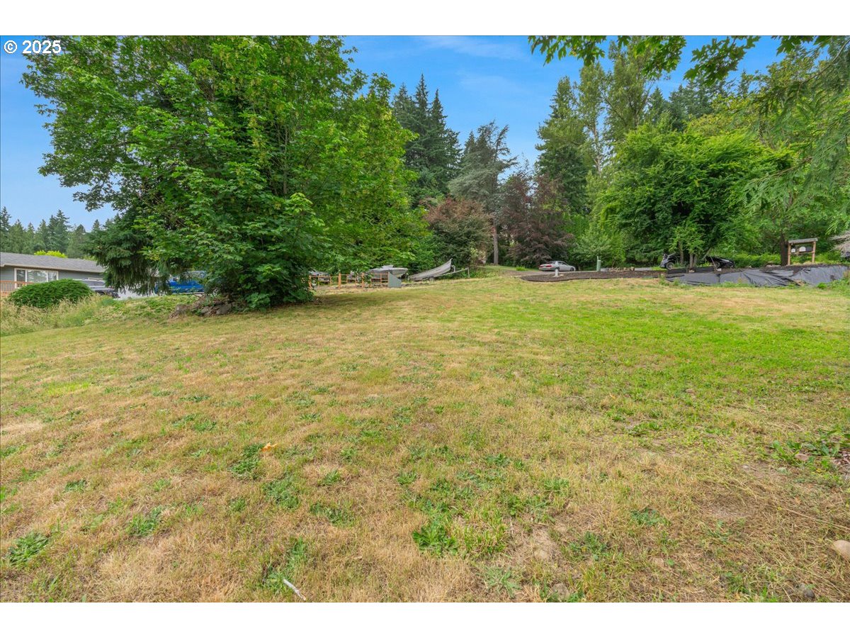 30062 Maple Drive Rainier, OR 97048 - Photo 45 of 47 a view of a yard with a tree