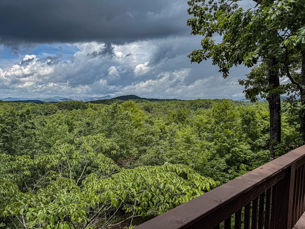 1484 Cardinal Road Murphy, NC 28906 - Photo 72 of 89
