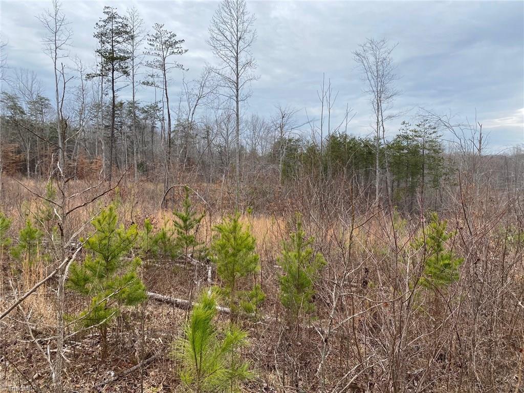 0 Henderson Road Pelham, NC 27311 - Photo 2 of 23 Gallery Image 2
