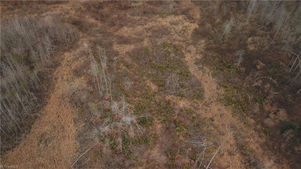 0 Henderson Road Pelham, NC 27311 - Photo 15 of 23 Gallery Image 15
