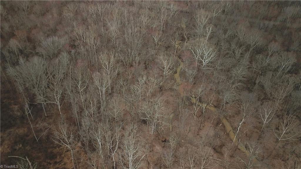0 Henderson Road Pelham, NC 27311 - Photo 18 of 23 Gallery Image 18