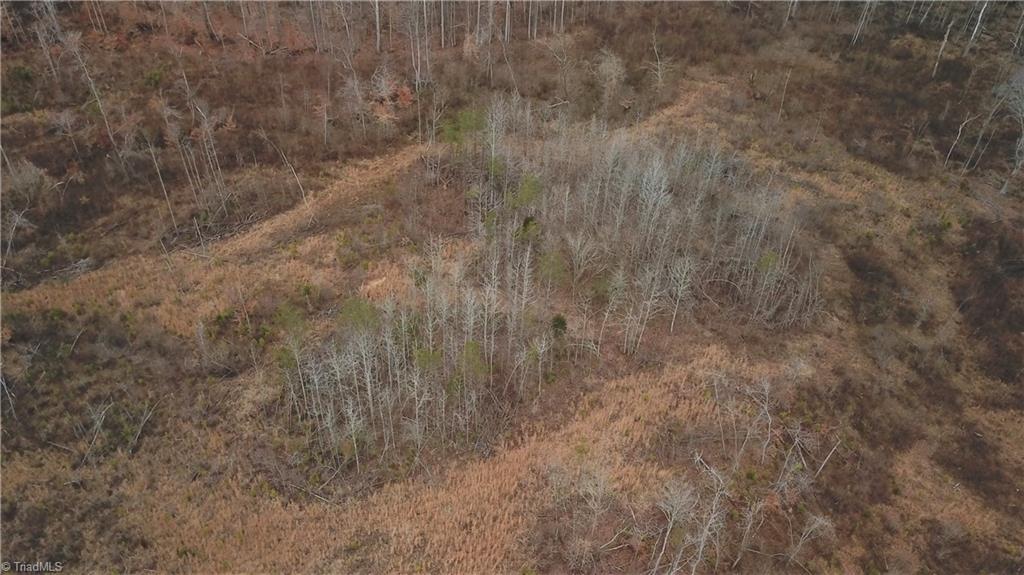 0 Henderson Road Pelham, NC 27311 - Photo 21 of 23 Gallery Image 21