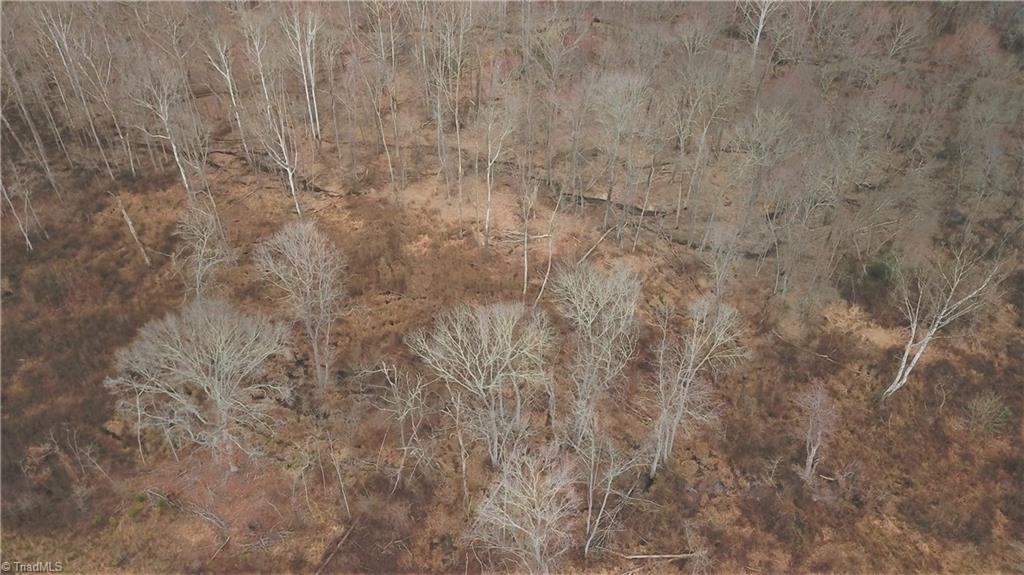 0 Henderson Road Pelham, NC 27311 - Photo 22 of 23 Gallery Image 22