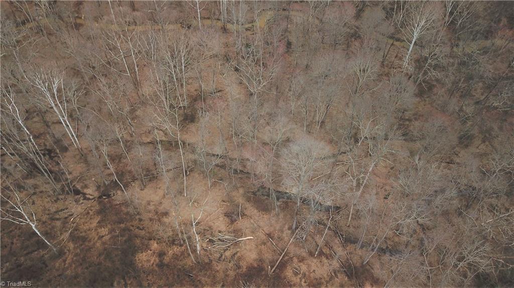 0 Henderson Road Pelham, NC 27311 - Photo 23 of 23 Gallery Image 23