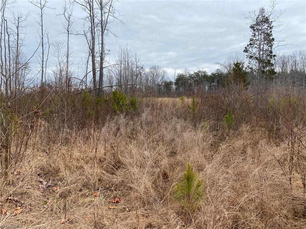 0 Henderson Road Pelham, NC 27311 - Photo 4 of 23 Gallery Image 4