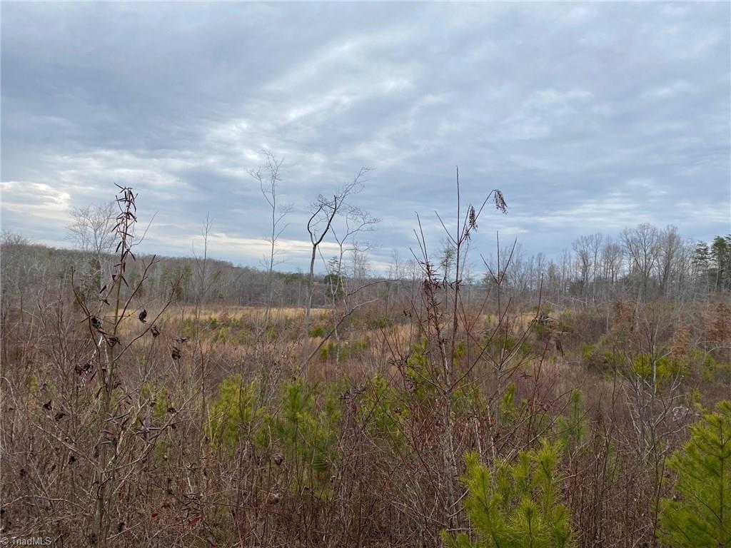 0 Henderson Road Pelham, NC 27311 - Photo 5 of 23 Gallery Image 5