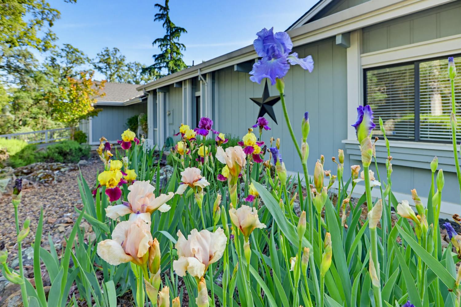 12025 Wanderer Road Auburn, CA 95602 - Photo 34 of 98